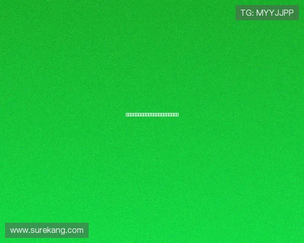 以维拉蒂为核心打造巴黎圣日耳曼的中场新局面